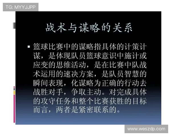 杭州篮球队整体压制体系解析与战术应用探讨 杭州篮球队整体压制体系解析与战术应用探讨