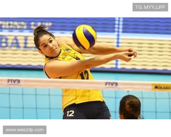 武汉排球队实力解析大满贯点评展现球队风采与潜力