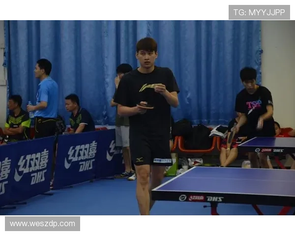 深圳乒乓球队实力分析与表现评估的综合研究报告